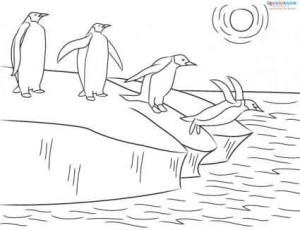 emperor penguin coloring sheet
